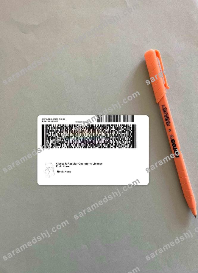 USA Mississippi driving license under 21 photolook BACK